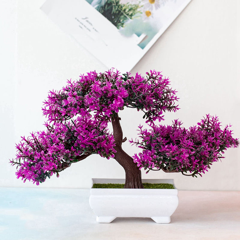 Bonsai Plant Lift Tool – Gardening, Home Decor