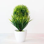 Bonsai Tree Pot | Small Size – Indoor Gardening, Home Decor
