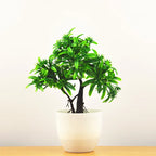 Bonsai Tree Pot | Small Size – Indoor Gardening, Home Decor