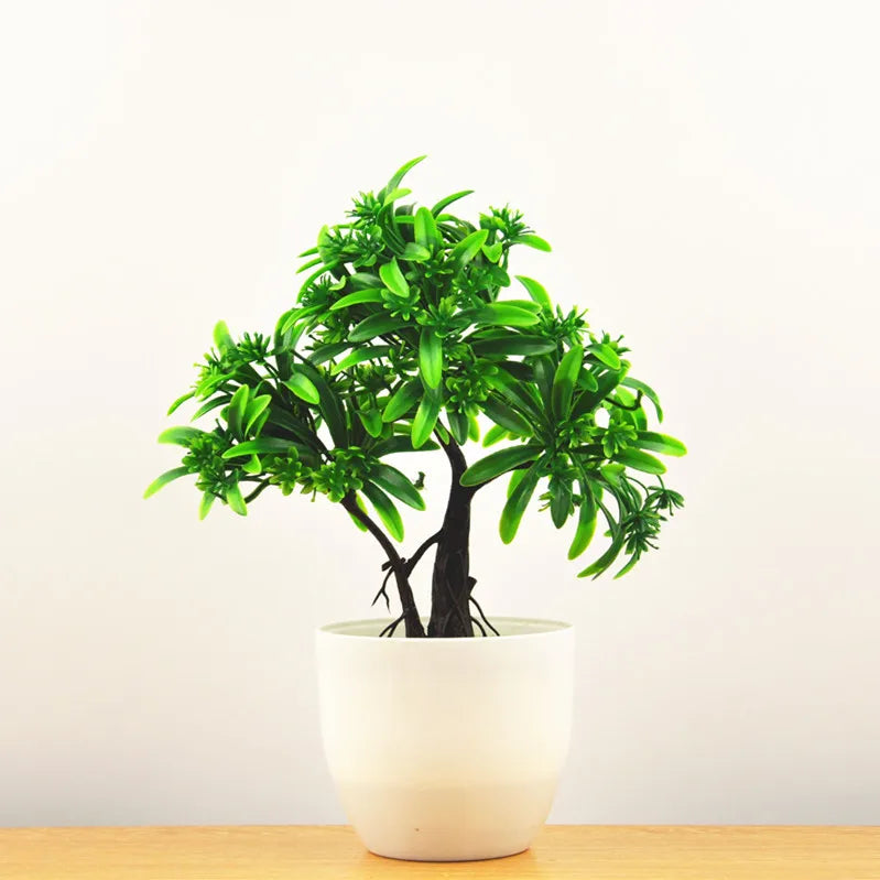 Bonsai Tree Pot | Small Size – Indoor Gardening, Home Decor