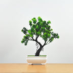 Bonsai Tree Pot | Small Size – Indoor Gardening, Home Decor