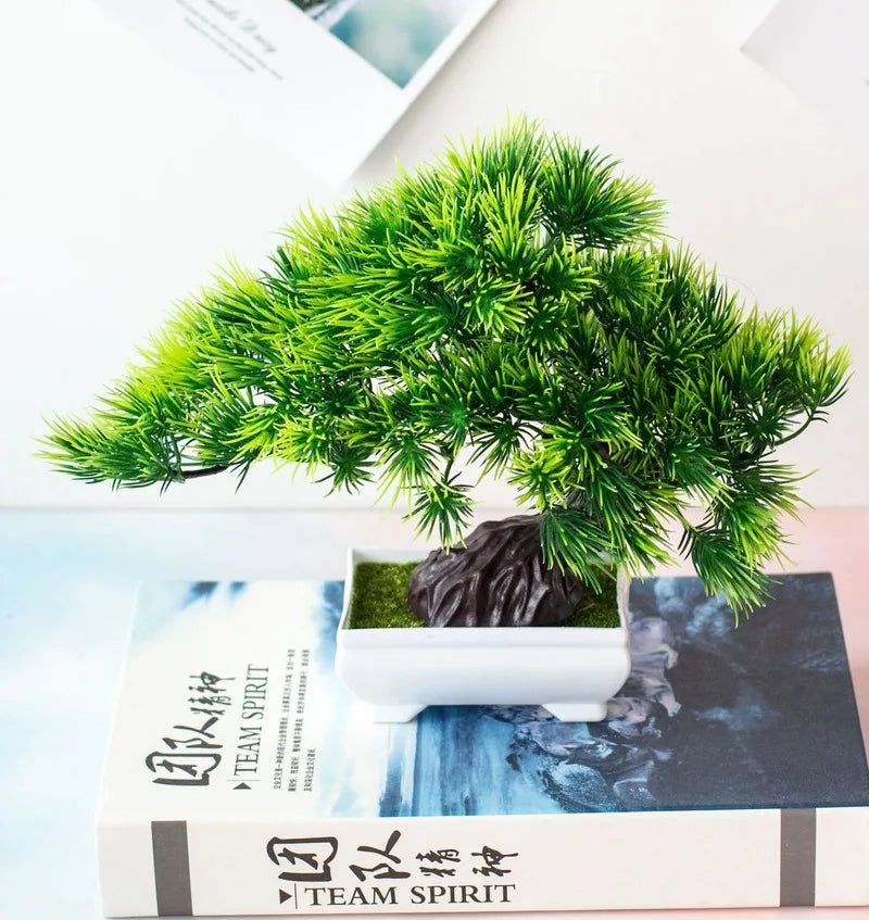 Bonsai Tree Pot | Small Size – Indoor Gardening, Home Decor
