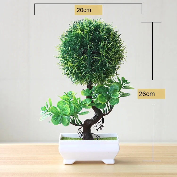 Bonsai Tree Pot | Small Size – Indoor Gardening, Home Decor