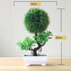 Bonsai Tree Pot | Small Size – Indoor Gardening, Home Decor