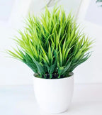 Bonsai Tree Pot | Small Size – Indoor Gardening, Home Decor