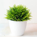 Bonsai Tree Pot | Small Size – Indoor Gardening, Home Decor