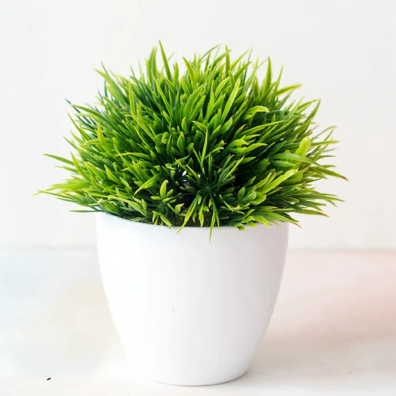 Bonsai Tree Pot | Small Size – Indoor Gardening, Home Decor