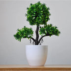 Bonsai Tree Pot | Small Size – Indoor Gardening, Home Decor