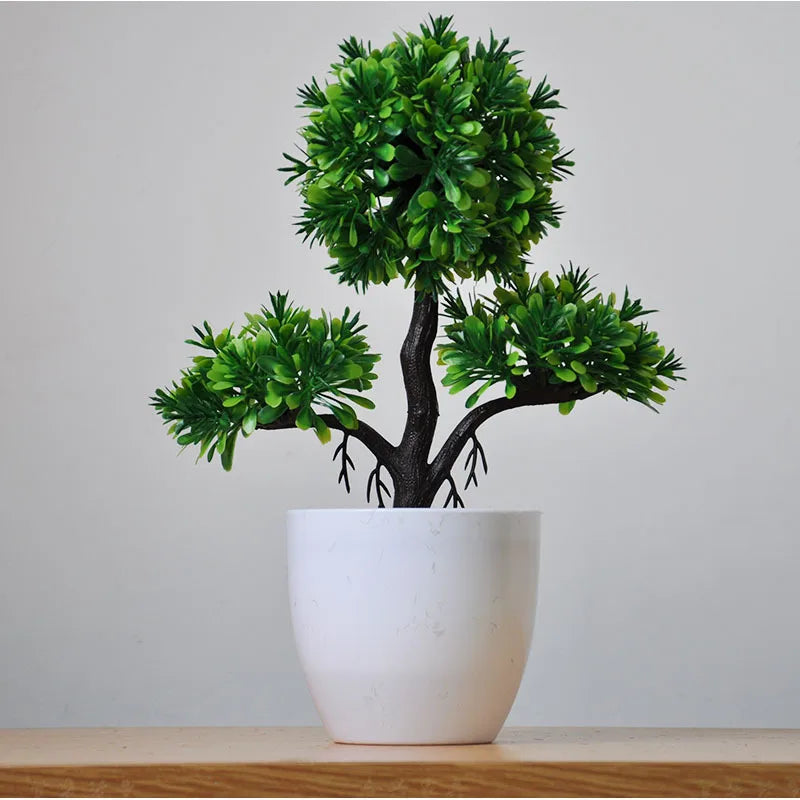 Bonsai Tree Pot | Small Size – Indoor Gardening, Home Decor