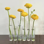 Flexible Flower Vases with Hinges, Modern Glass Tube – Home Decor, Gift