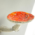 Floating Mushroom Shelf – Home Decor, Space-Saving